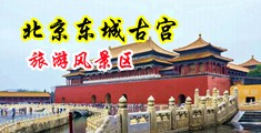 爆操女白虎中国北京-东城古宫旅游风景区